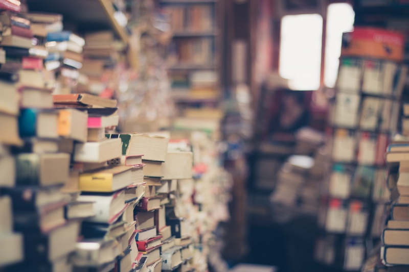 vitrine-TRIGANCE-min_books_stack_book_store_stack_of_books_2nd_hand_retro_hipster_shop-829090
